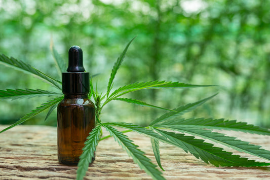 Gold Bee CBD Oil