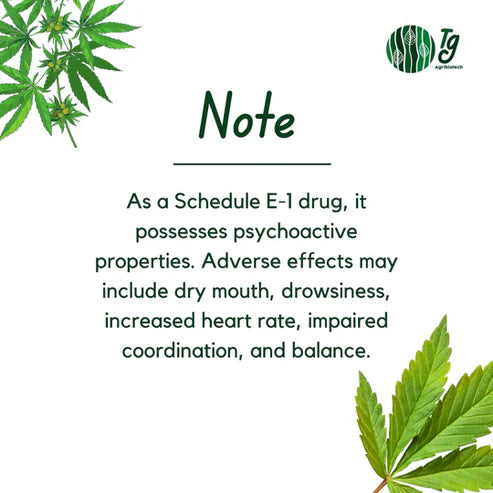 MEDICANN- Cannabis Leaf Extract - 5 grams